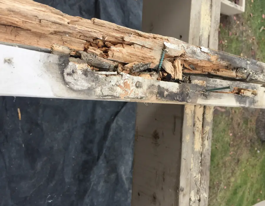 Rot from water