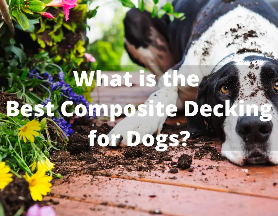 Best Composite and PVC decking for Decking for Dogs