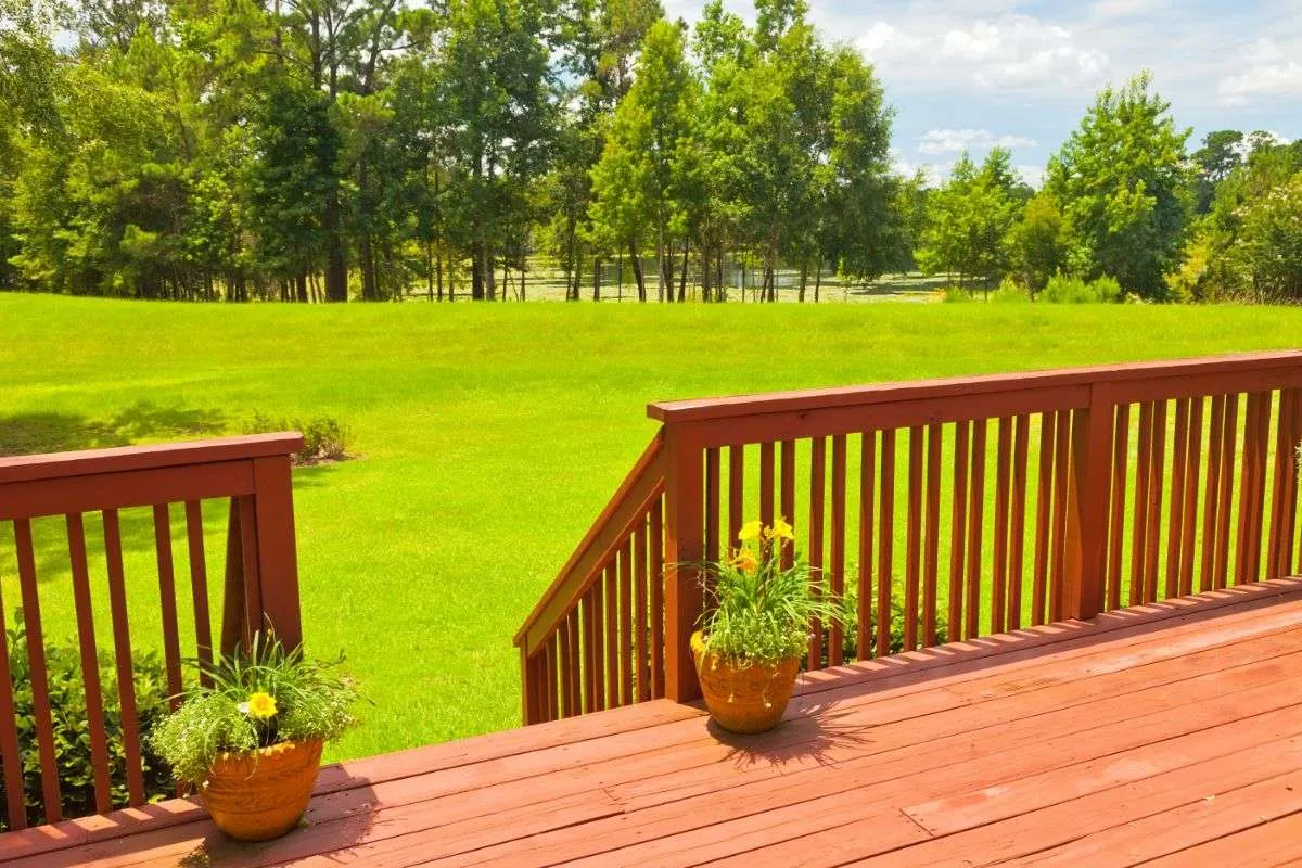 How To Keep Wasps Away From Deck