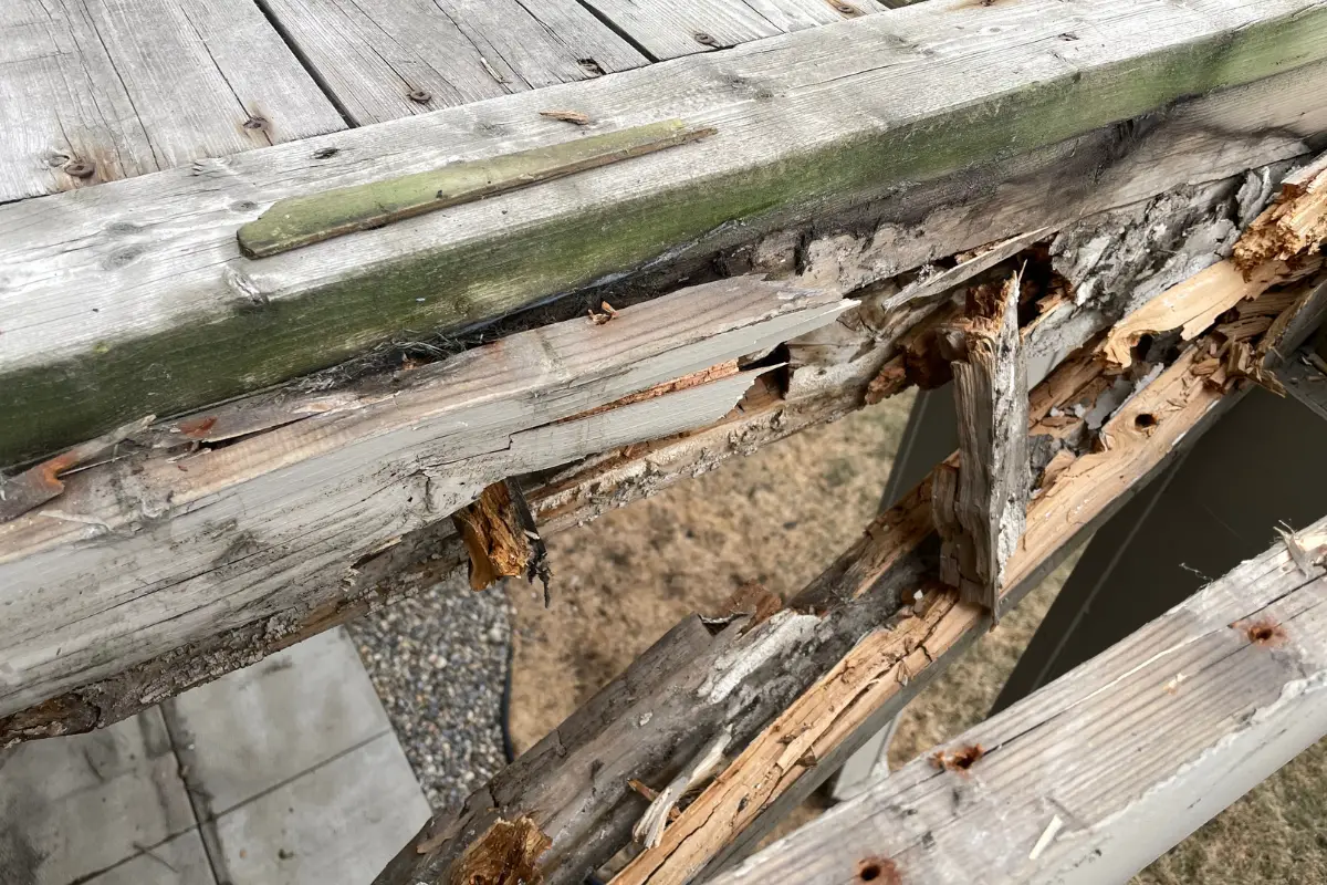 How To Prevent Deck Joists From Rotting(15 Ways) – Decks By E3